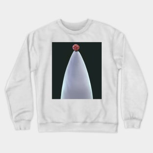 Coccolithophore on needle tip, SEM (C030/9018) Crewneck Sweatshirt